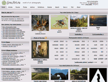 Tablet Screenshot of en.www.lensart.ru