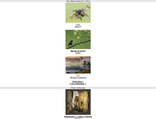 Tablet Screenshot of en.wap.lensart.ru